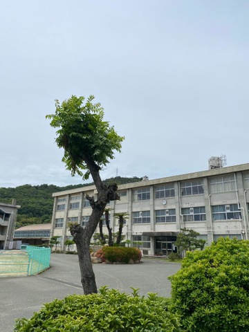 倉敷市立黒崎中学校／ホームメイト