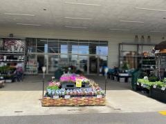 ＤＣＭ　のいち店