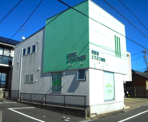 投稿写真1