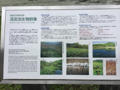 深泥池