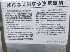 深泥池