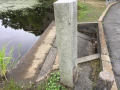 深泥池
