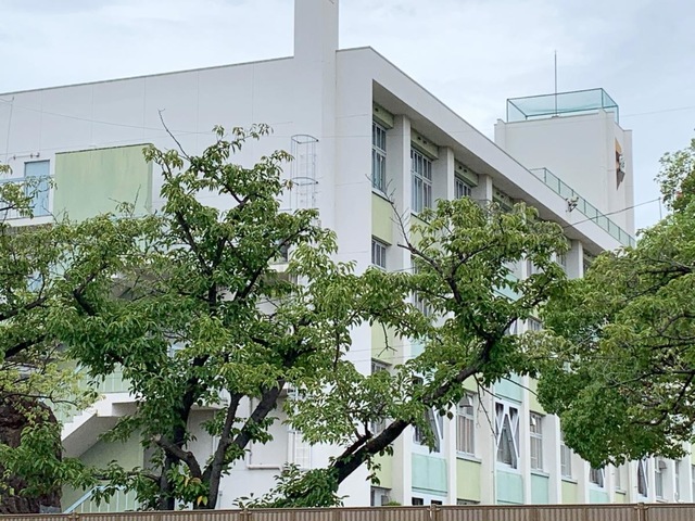 オーバーフィンチ ミックファニング (大阪市生野工業高校付近) 🔴ラフ&ヘルス🔴 本日、#大阪関西万博 の会場 《大阪ヘルスケア