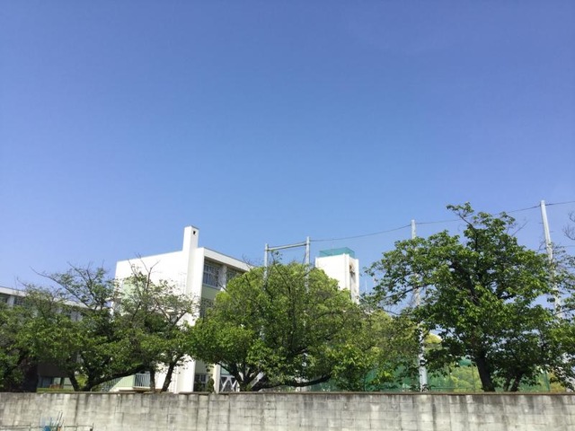 大阪府立生野高等学校／ホームメイト