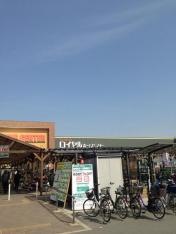 ロイヤルホームセンター塚口店