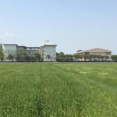 糸島市立　前原東中学校