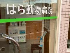 はら動物病院