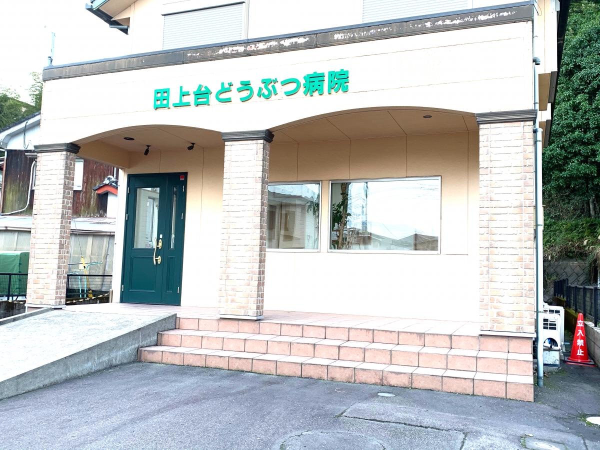 田上台どうぶつ病院