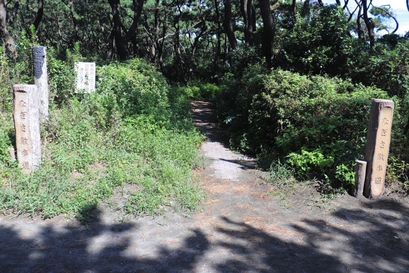 散歩道