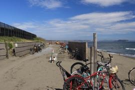 茅ヶ崎海岸しおさいの森