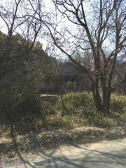 愛知たいよう幼稚園