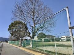 安東小学校