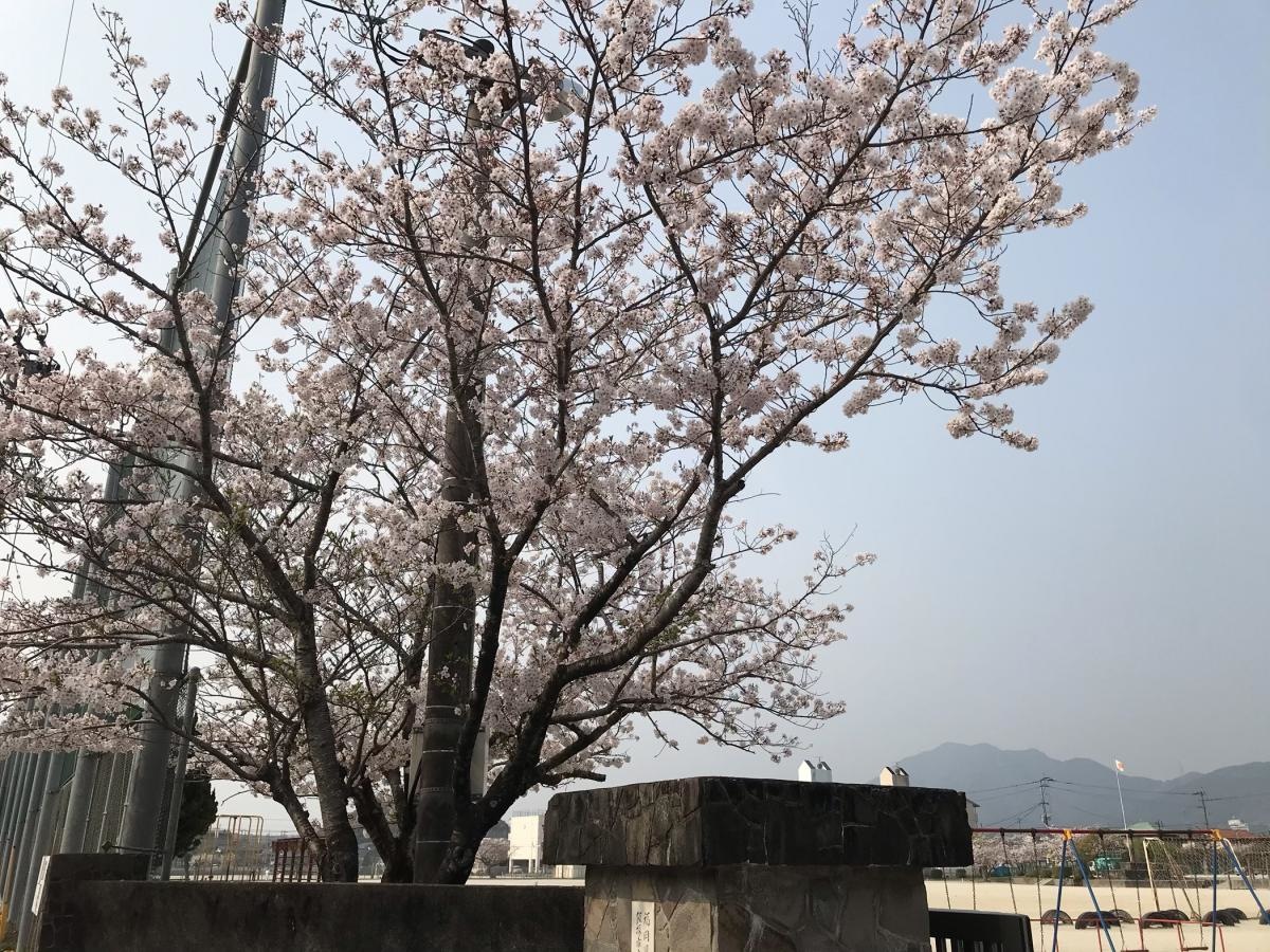 伊岐須小学校