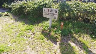新川緑地