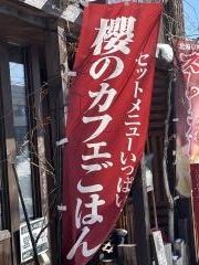 櫻珈琲煎房　本店