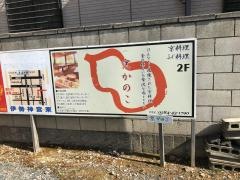 京かのこ