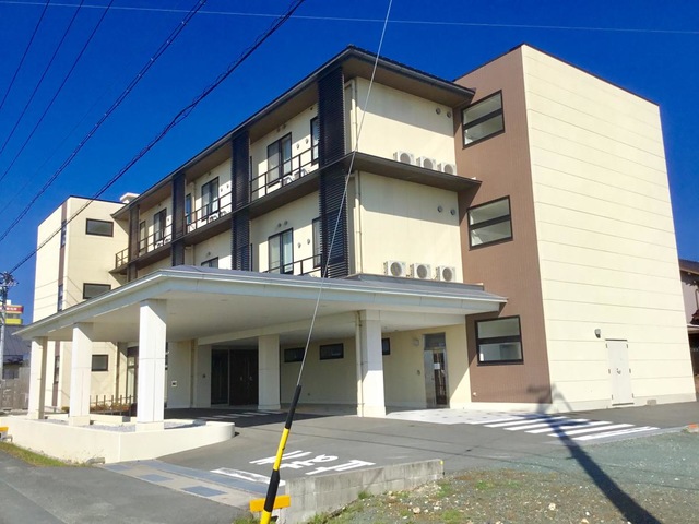 みかんの樹