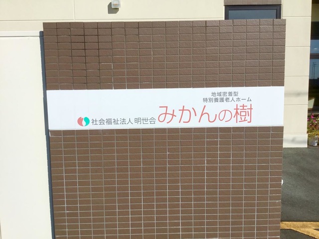 みかんの樹