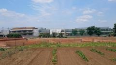 大和田小学校