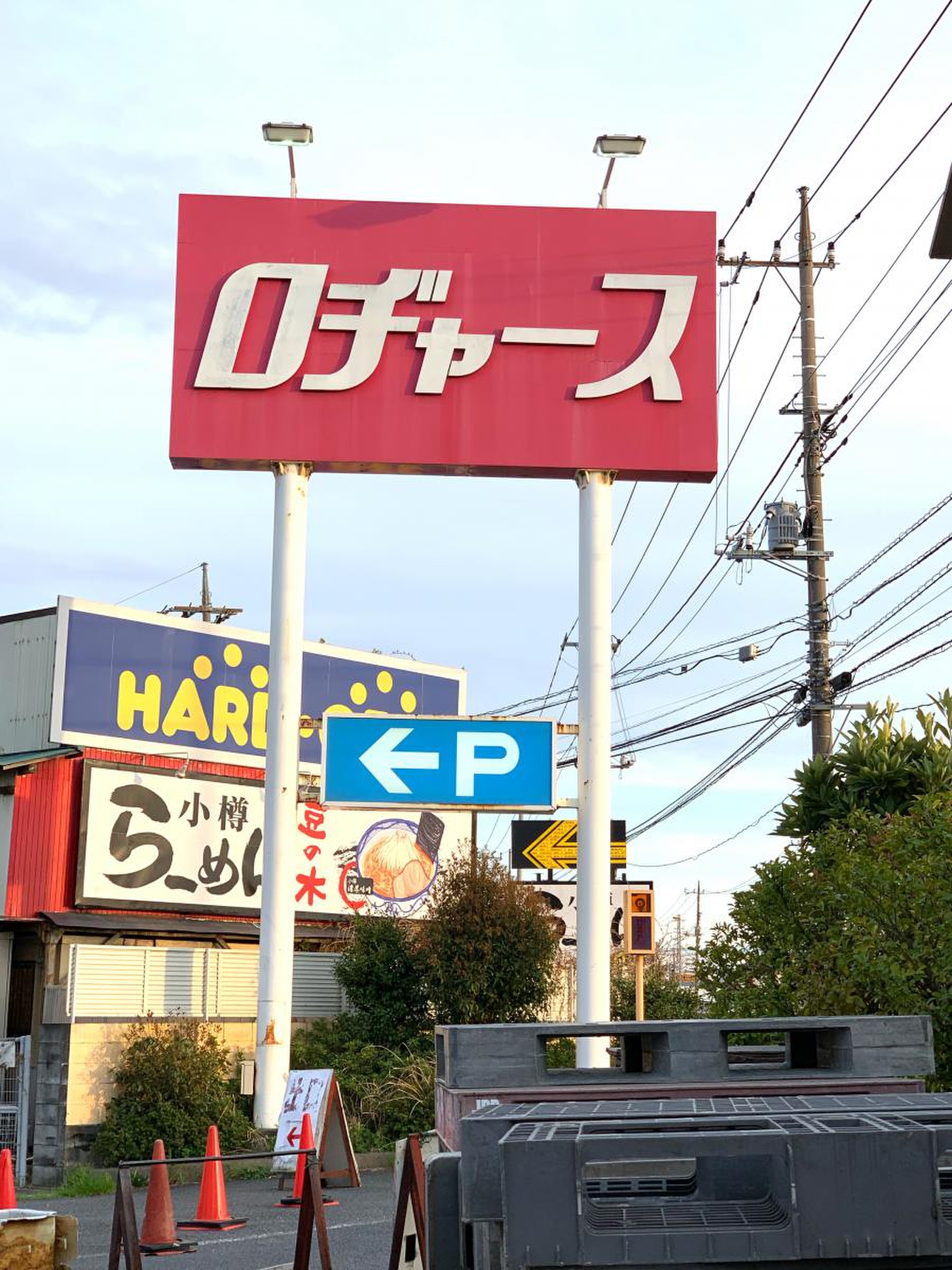 ロヂャース 越谷 店