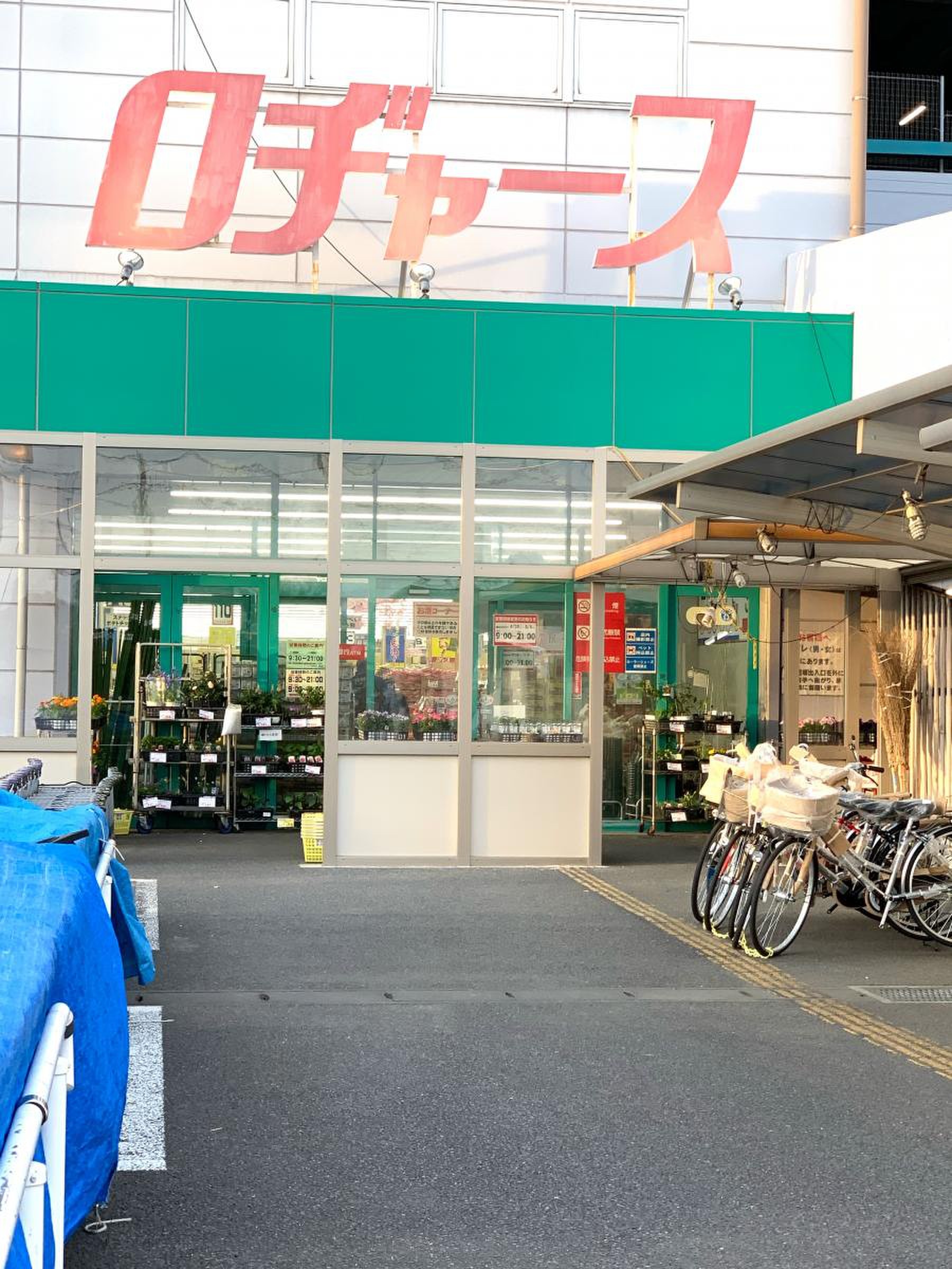 ロヂャース 越谷 店