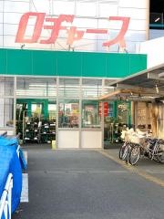 ロヂャース越谷店