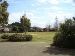 やすらぎの広場公園