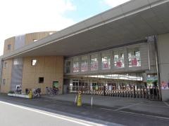 大野文化幼稚園