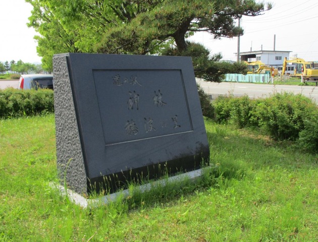 施設写真11