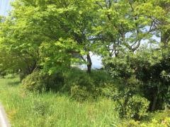 長浜中央公園
