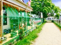 ともしび保育園