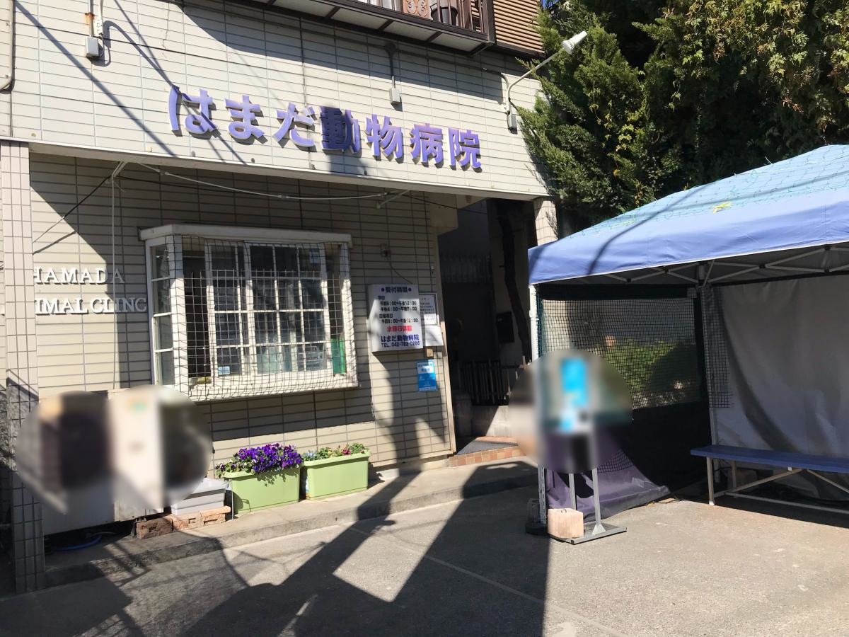 エントランス周り