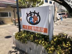 やまと動物病院