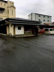 豆狸