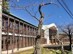 第五小学校