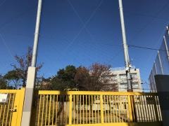 桜小学校