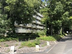 第三十三号かしの木緑地