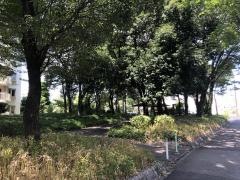 第三十三号かしの木緑地