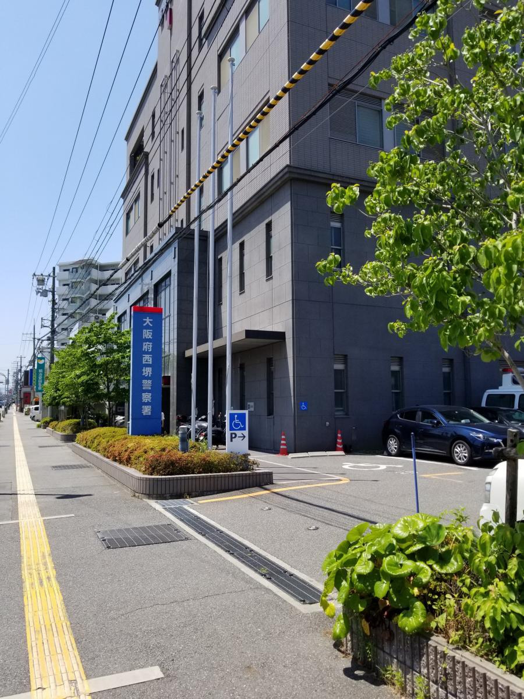 活動歴および当時の関連ビジュアル記録