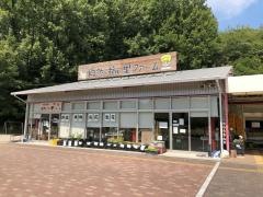 市立五條文化博物館