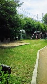 西大物緑地