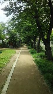 西大物緑地
