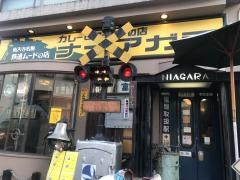 ナイアガラ