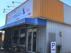 犬の専門店ワイズカンパニー