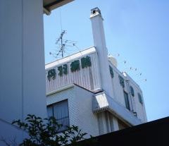 丹羽病院