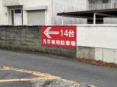 万平
