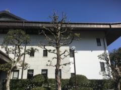 福岡武道館