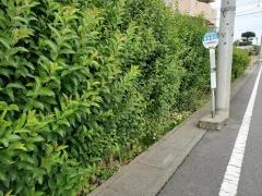 「寄巻橋西」バス停留所
