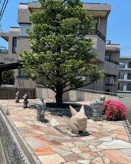 市川歯科小児歯科