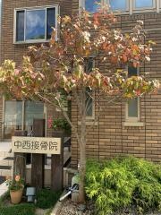 中西接骨院